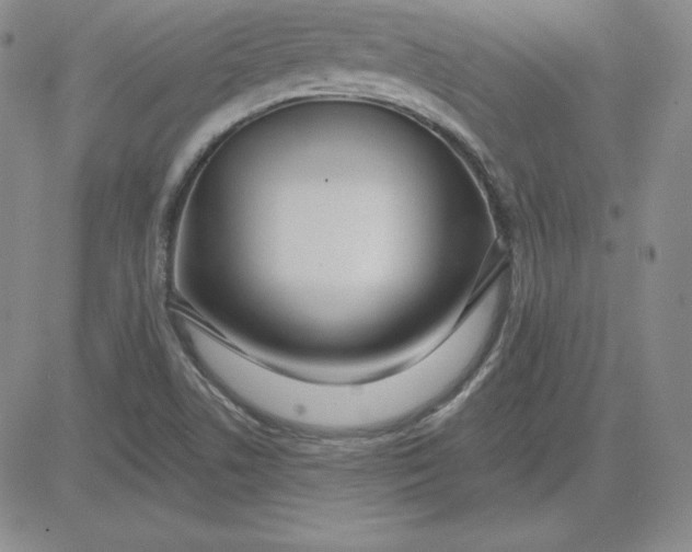 X0000080771506200701021108