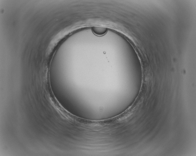 X0000080771507200701021108