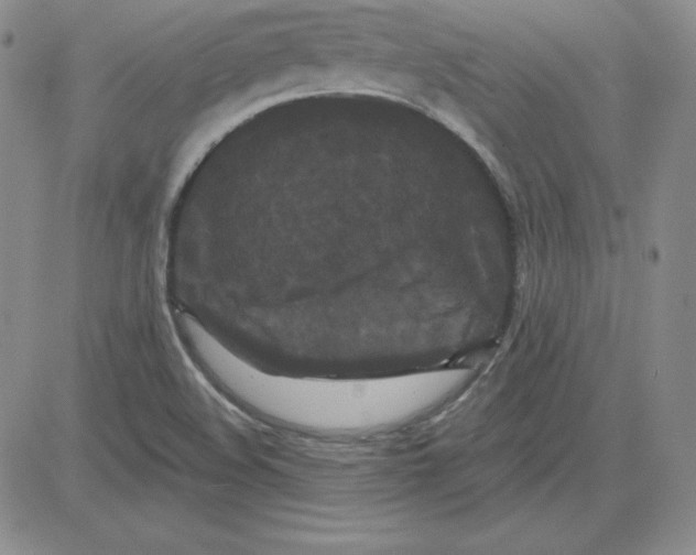 X0000080771508200701021108