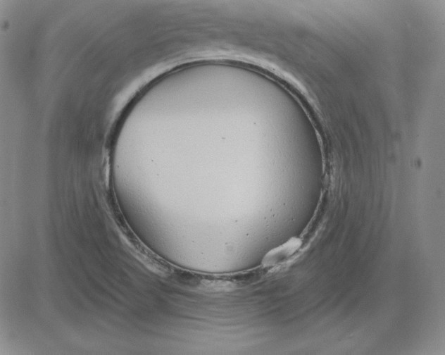 X0000080771509200701021108