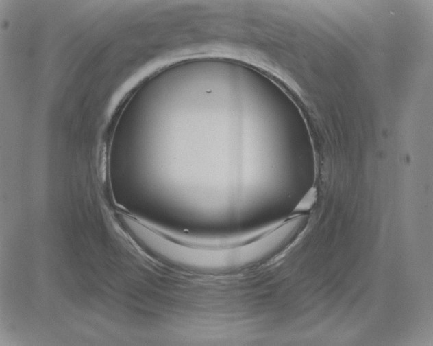 X0000080771510200701021108