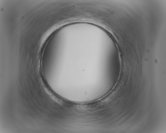 X0000080771511200701021108