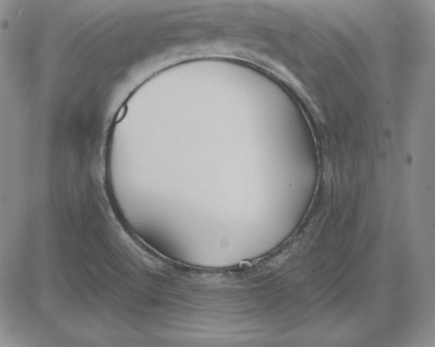 X0000080771512200701021108