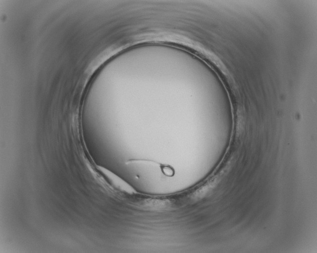 X0000080771513200701021108