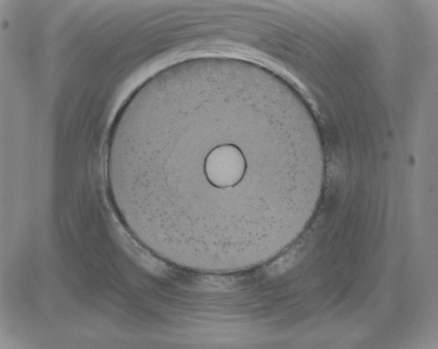 X0000080771514200701021108