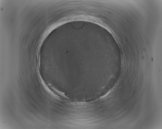 X0000080771515200701021108