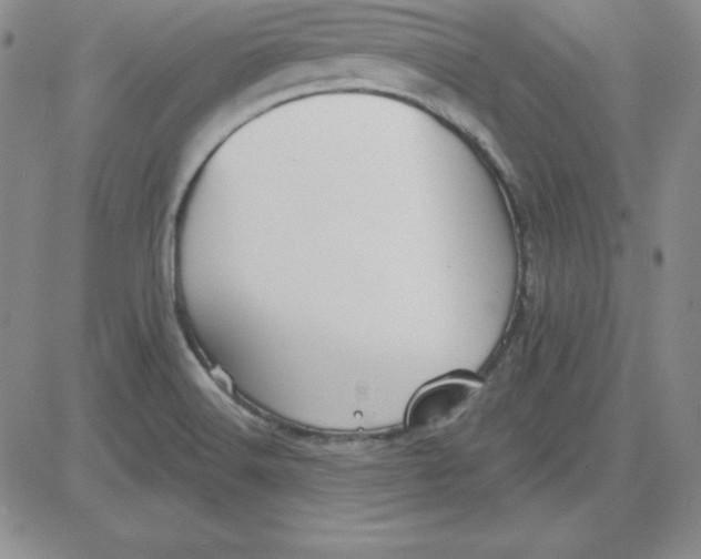 X0000080771516200701021108