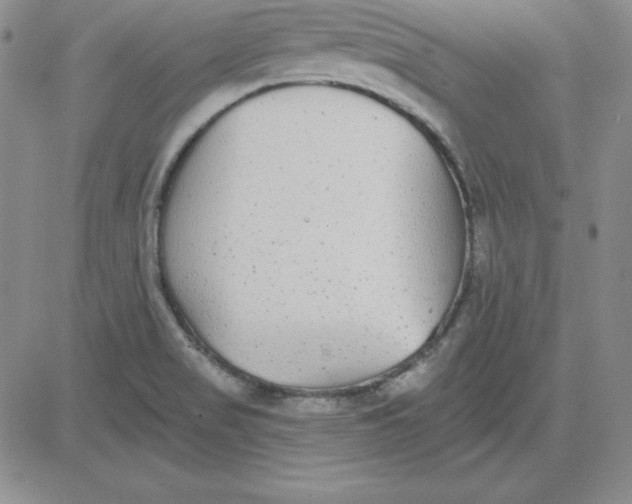 X0000080771517200701021108