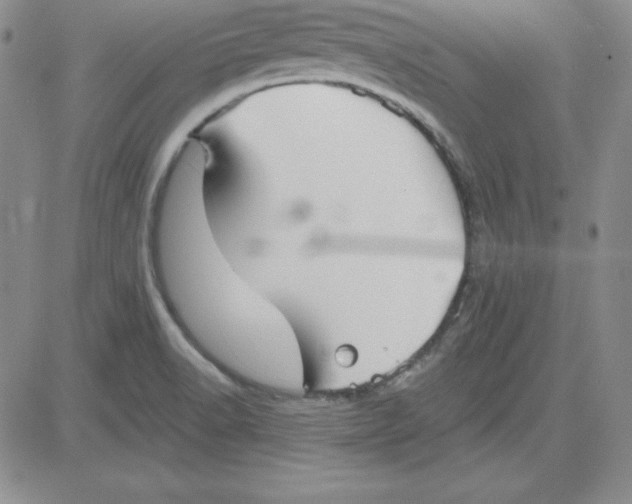 X0000080771518200701021108