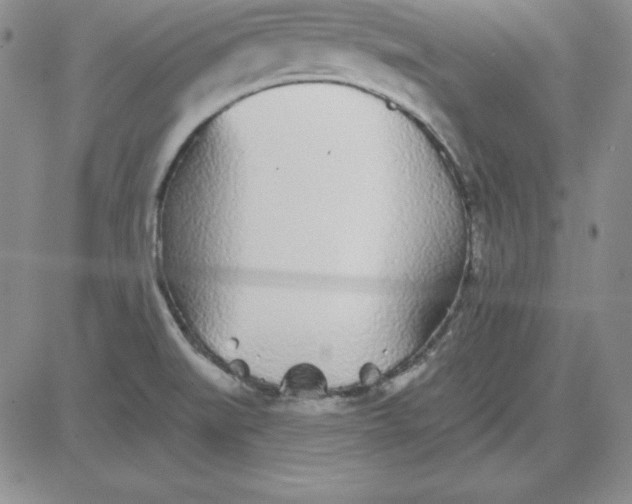 X0000080771519200701021108