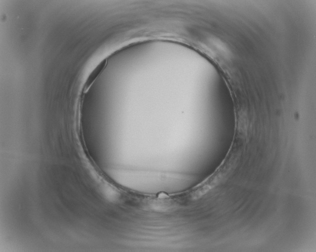 X0000080771520200701021108