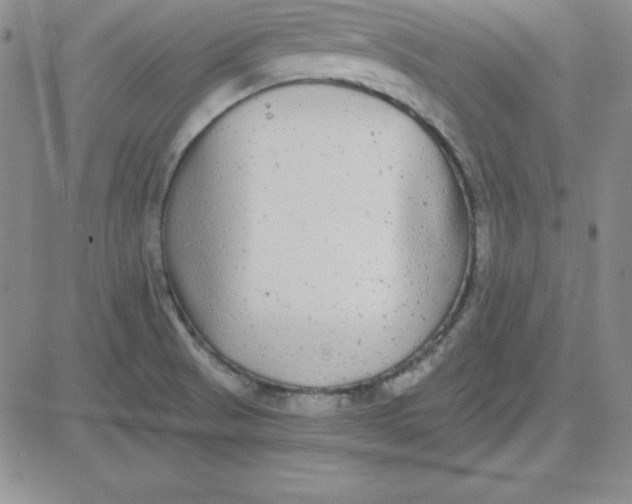 X0000080771521200701021108