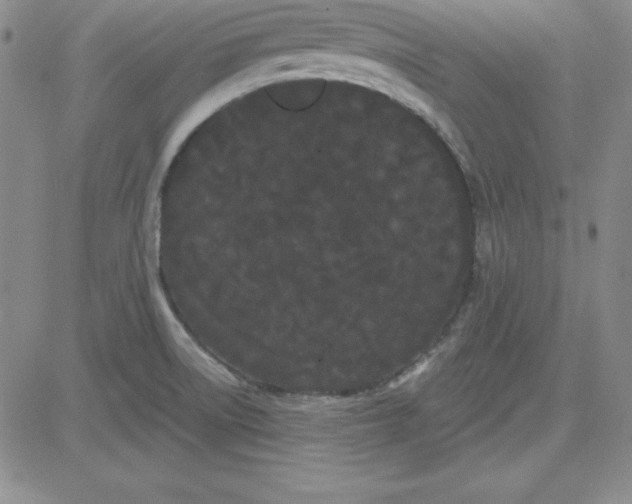 X0000080771522200701021108