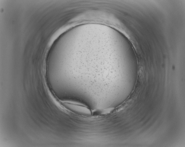 X0000080771523200701021108