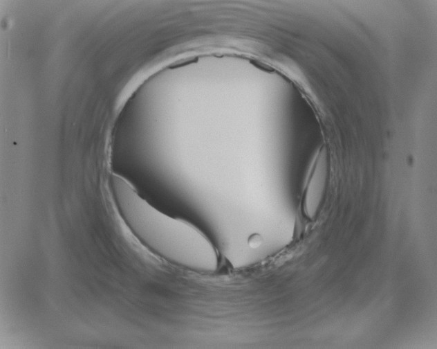 X0000080771524200701021108