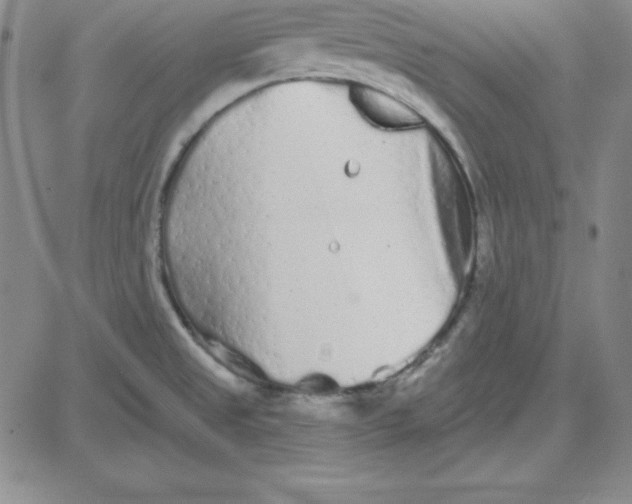 X0000080771525200701021108