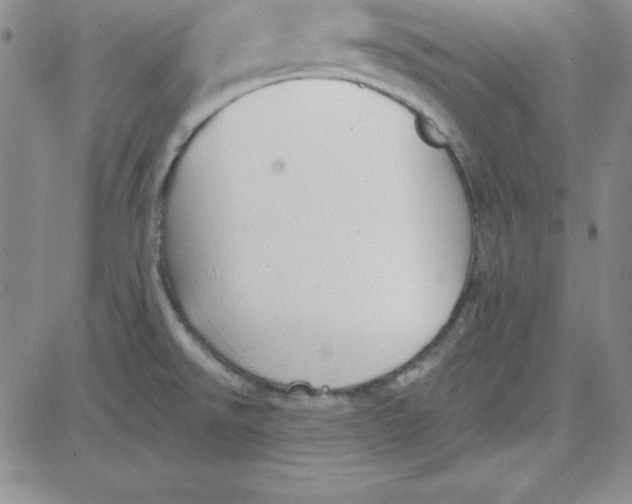 X0000080771526200701021108