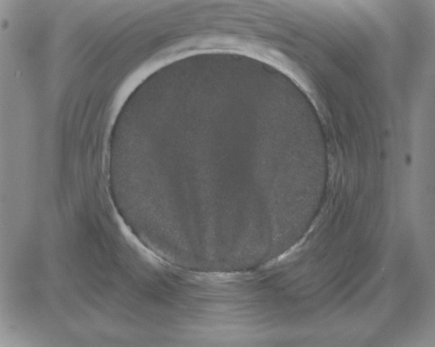 X0000080771527200701021108