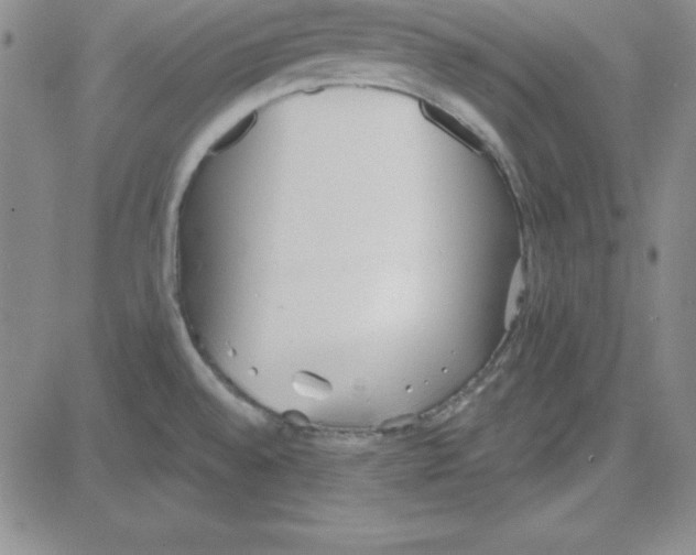 X0000080771528200701021108