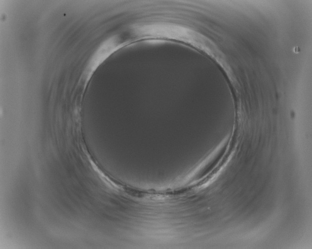 X0000080771529200701021108