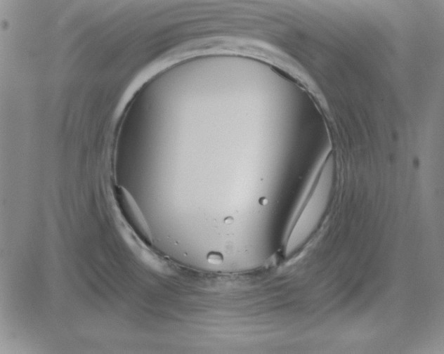 X0000080771530200701021108