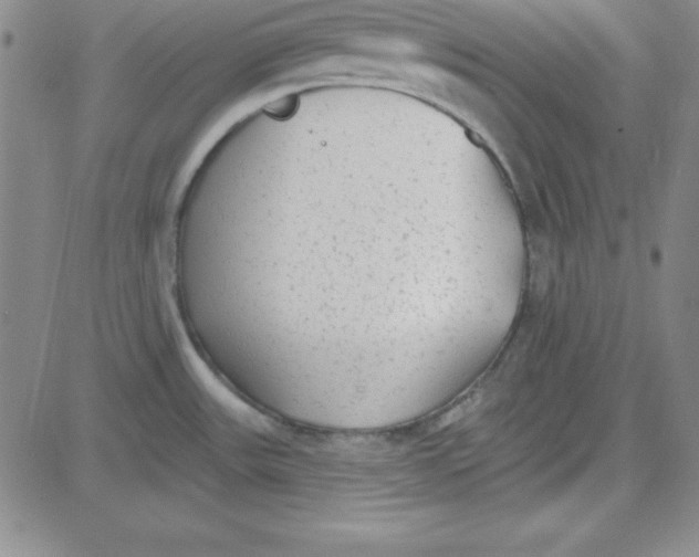 X0000080771531200701021108