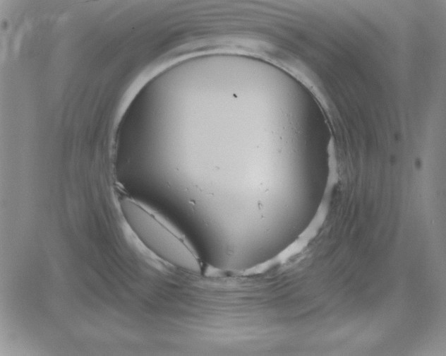 X0000080771532200701021108