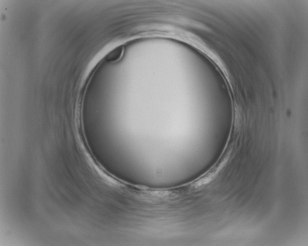 X0000080771533200701021108