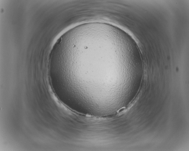 X0000080771534200701021108