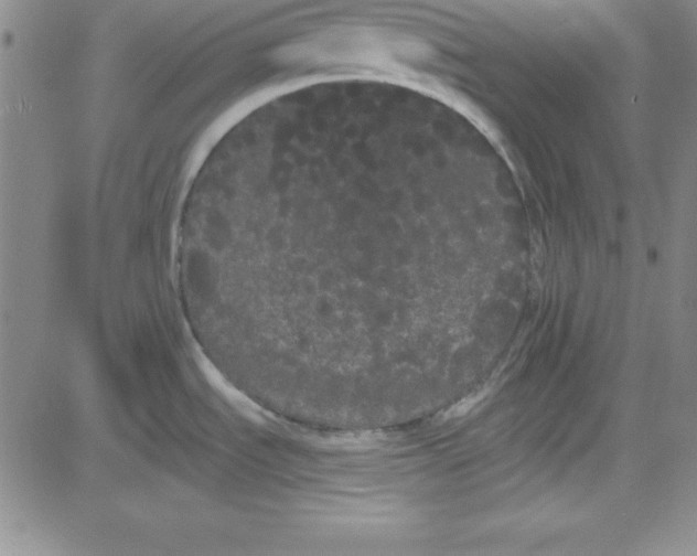 X0000080771535200701021108