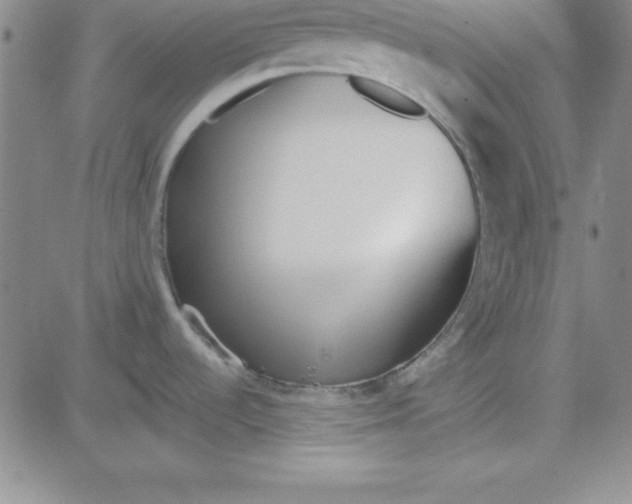 X0000080771536200701021108