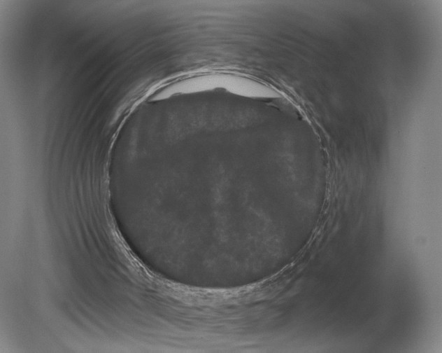 X0000080770002200701051314