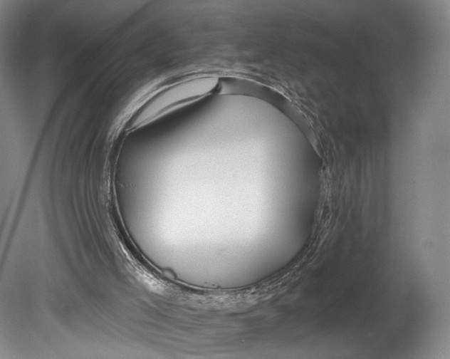 X0000080770005200701051314