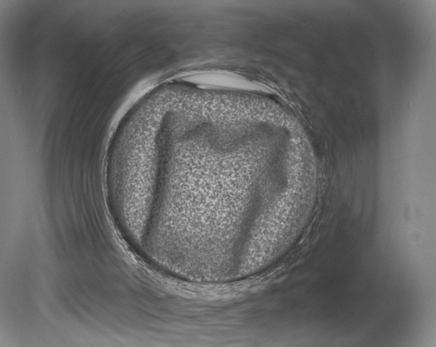 X0000080770006200701051314