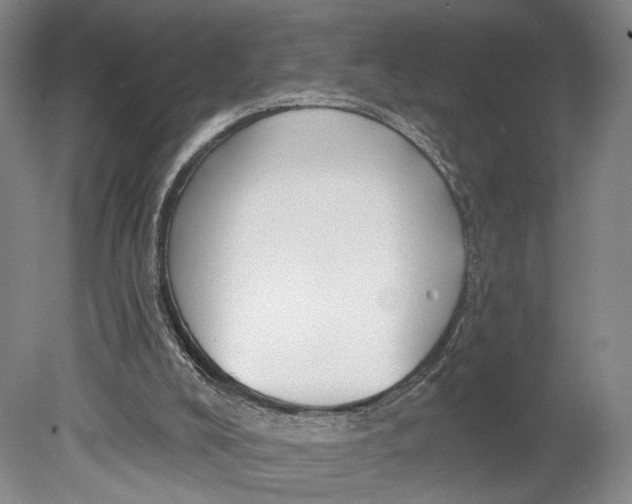 X0000080770008200701051314