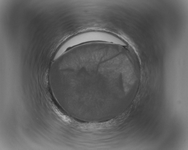 X0000080770009200701051314