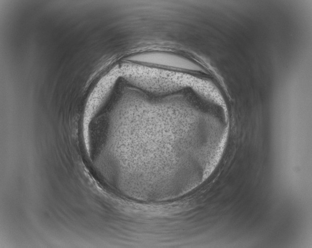 X0000080770010200701051314