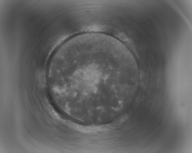 X0000080770012200701051313