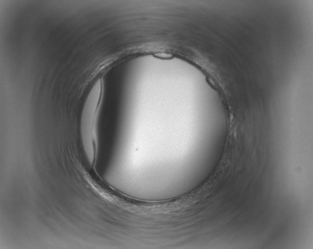 X0000080770013200701051313