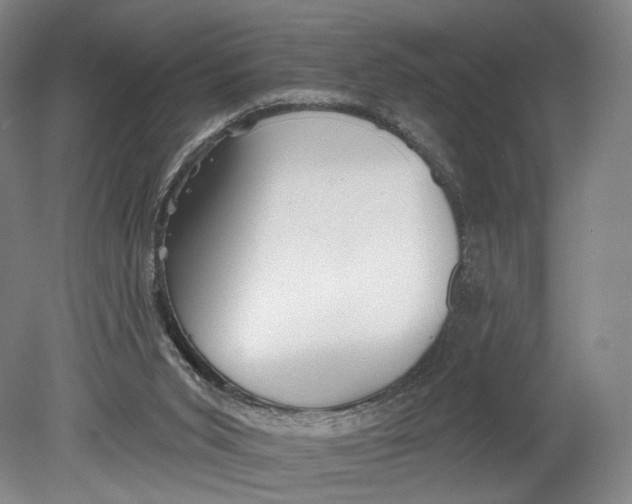 X0000080770015200701051313