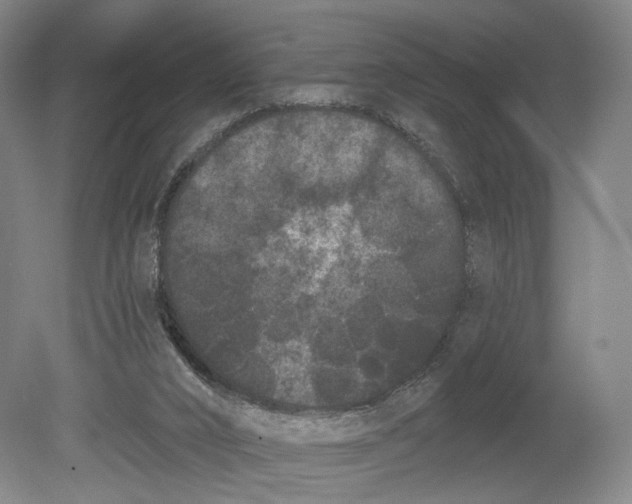 X0000080770016200701051313