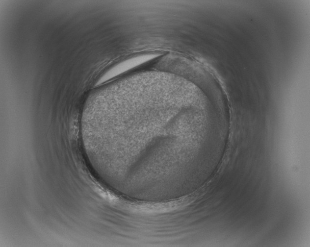 X0000080770017200701051313