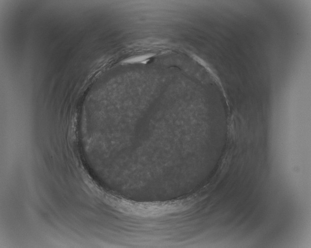 X0000080770018200701051313