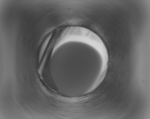 X0000080770019200701051313