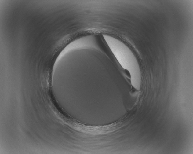 X0000080770023200701051313