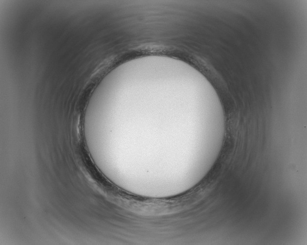 X0000080770024200701051313