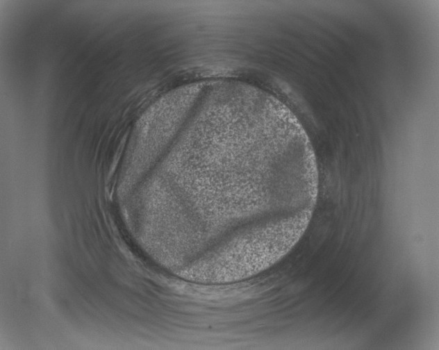 X0000080770026200701051313