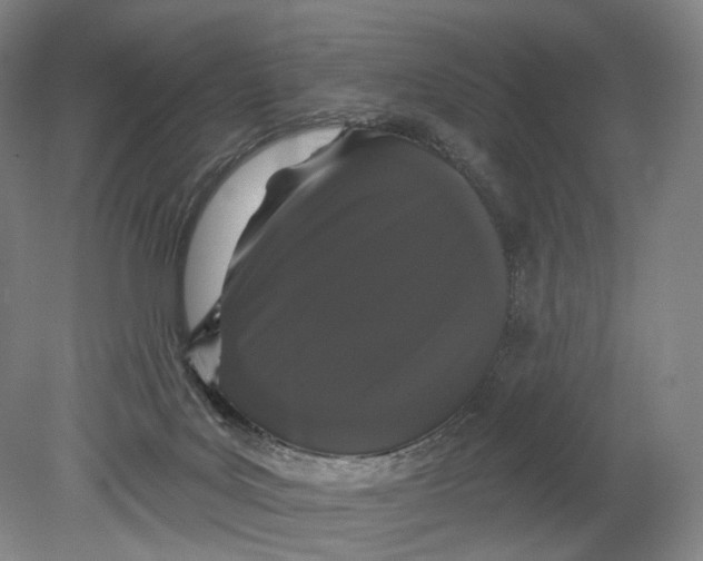 X0000080770027200701051313