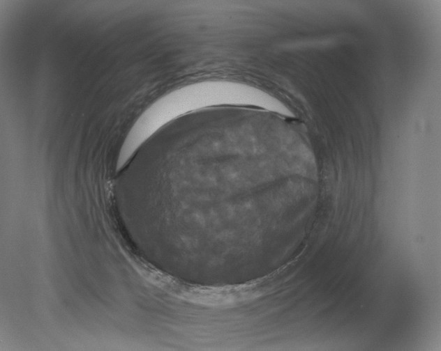 X0000080770029200701051313