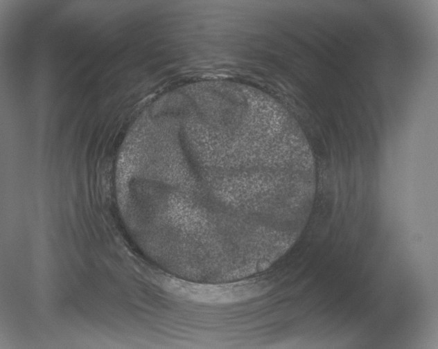 X0000080770030200701051313